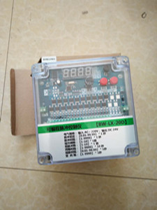 BW-ZX-20D可编程脉冲控制仪